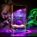 Gomu Gomu no Mi Resin Lamp