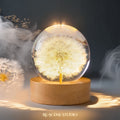 Wishing Dandelion Globe Resin Lamp